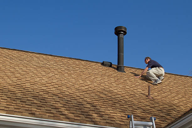 Best Asphalt Shingle Roofing  in Ddleville, MI